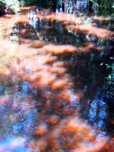 The Water's Reflection, 2008 (Digital Photograph)